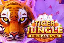 Tiger Jungle Slot Review